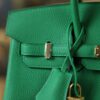 Birkin 25 Togo Bamboo GHW