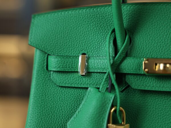 Birkin 25 Togo Bamboo GHW