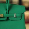 Birkin 25 Togo Bamboo GHW