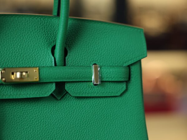 Birkin 25 Togo Bamboo GHW