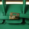 Birkin 25 Togo Bamboo GHW