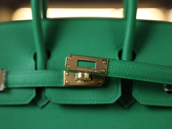 Birkin 25 Togo Bamboo GHW
