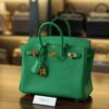 Birkin 25 Togo Bamboo GHW