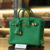 Birkin 25 Togo Bamboo GHW