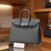 Birkin 25 Togo Vert Amande PHW