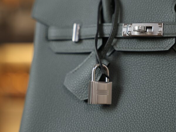 Birkin 25 Togo Vert Amande PHW