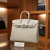 Birkin 25 Togo Beton GHW