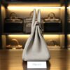 Birkin 25 Togo Beton GHW
