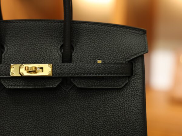 Birkin 25 Togo Black GHW