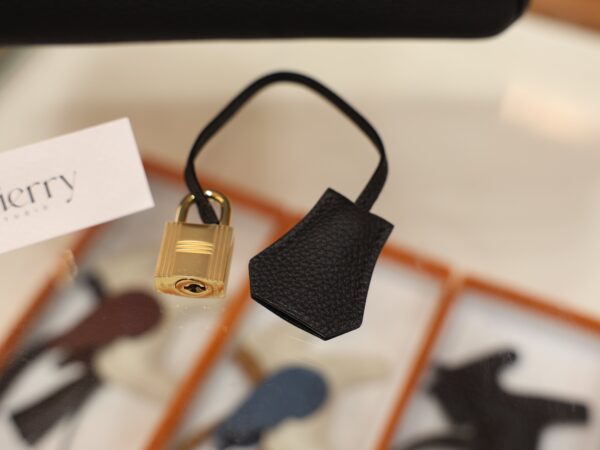 Birkin 25 Togo Black GHW