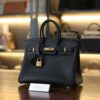 Birkin 25 Togo Black GHW