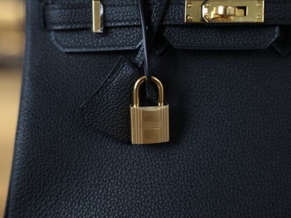 Birkin 25 Togo Black GHW