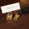 Birkin 25 Togo Black GHW