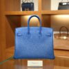 Birkin 25 Togo Bleu Hydra PHW