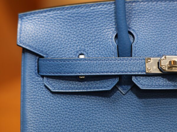Birkin 25 Togo Bleu Hydra PHW