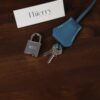 Birkin 25 Togo Bleu Jean PHW