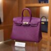 Birkin 25 Togo Anemone GHW