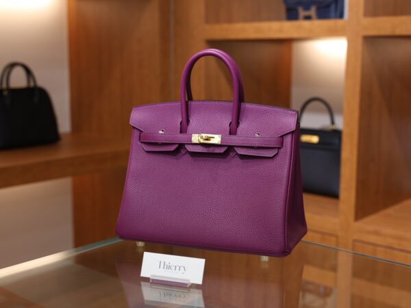 버킨 25 토고 아네모네 금장 001_139A9011 Birkin 25 Togo Anemone GHW