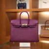 Birkin 25 Togo Anemone GHW
