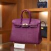 Birkin 25 Togo Anemone GHW