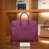 Birkin 25 Togo Anemone GHW