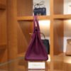 Birkin 25 Togo Anemone GHW