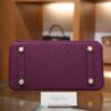 Birkin 25 Togo Anemone GHW