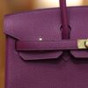 Birkin 25 Togo Anemone GHW
