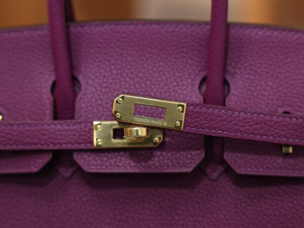 Birkin 25 Togo Anemone GHW