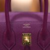 Birkin 25 Togo Anemone GHW