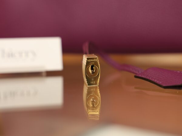 Birkin 25 Togo Anemone GHW
