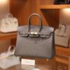 Birkin 25 Togo Etain GHW