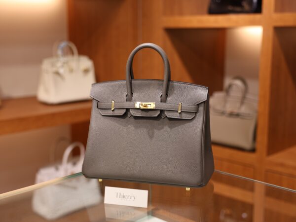 버킨 25 토고 에땅 금장 001_139A2746 Birkin 25 Togo Etain GHW