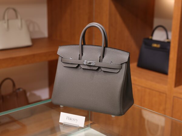 버킨 25 토고 에땅 은장 001_SBJ_8178 Birkin 25 Togo Etain PHW