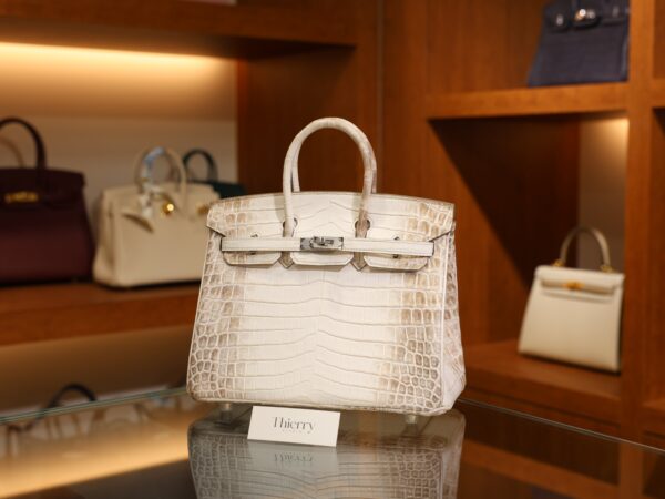 버킨 25 히말라야 은장 001_139A1799_40eb4481-482e-4664-9734-3414db45fa08 Birkin 25 Himalayan PHW