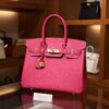 Birkin 30 Epsom Retourne Rose Tyrien GHW