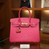 Birkin 30 Epsom Retourne Rose Tyrien GHW