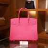 Birkin 30 Epsom Retourne Rose Tyrien GHW