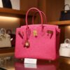 Birkin 30 Epsom Retourne Rose Tyrien GHW