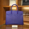 Birkin 30 Epsom Retourne Bleu Electrique PHW