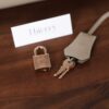 Birkin 30 Togo Gris Tourterelle RGHW