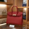 Birkin 30 Togo Rouge Casaque GHW
