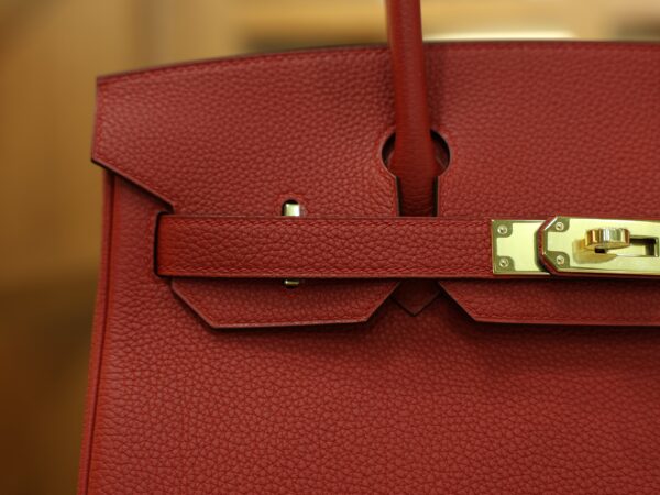 Birkin 30 Togo Rouge Casaque GHW