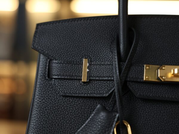 Birkin 30 Togo Black GHW