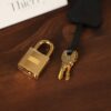 Birkin 30 Togo Black GHW