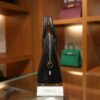 Bolide 25 Evercolor Black GHW