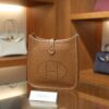 Evelyne Mini Clemence Gold GHW