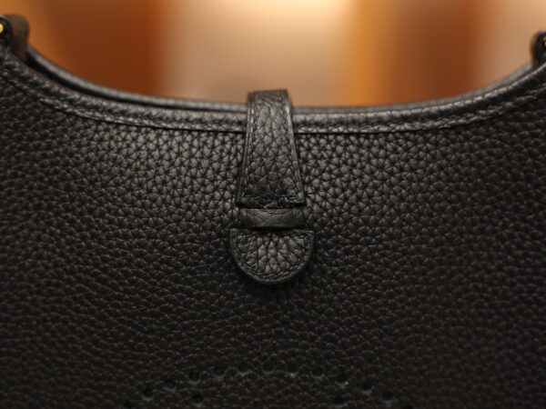 Evelyne Mini Clemence Black GHW