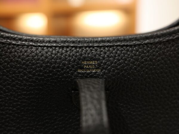 Evelyne Mini Clemence Black GHW