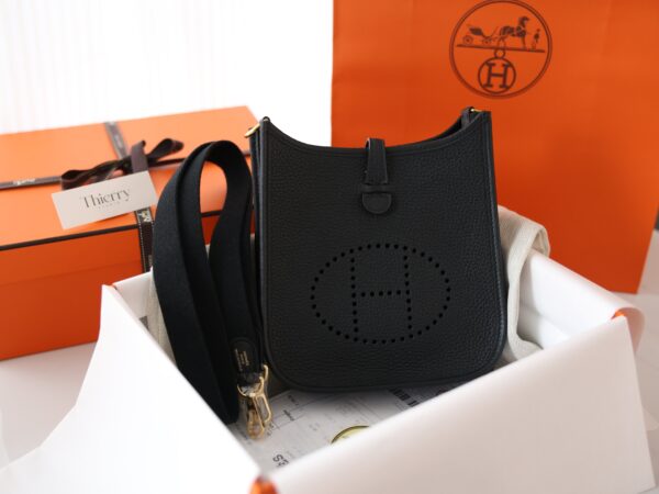 Evelyne Mini Clemence Black GHW